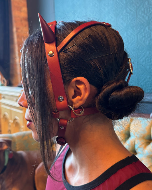 Devil Horn Face Harness