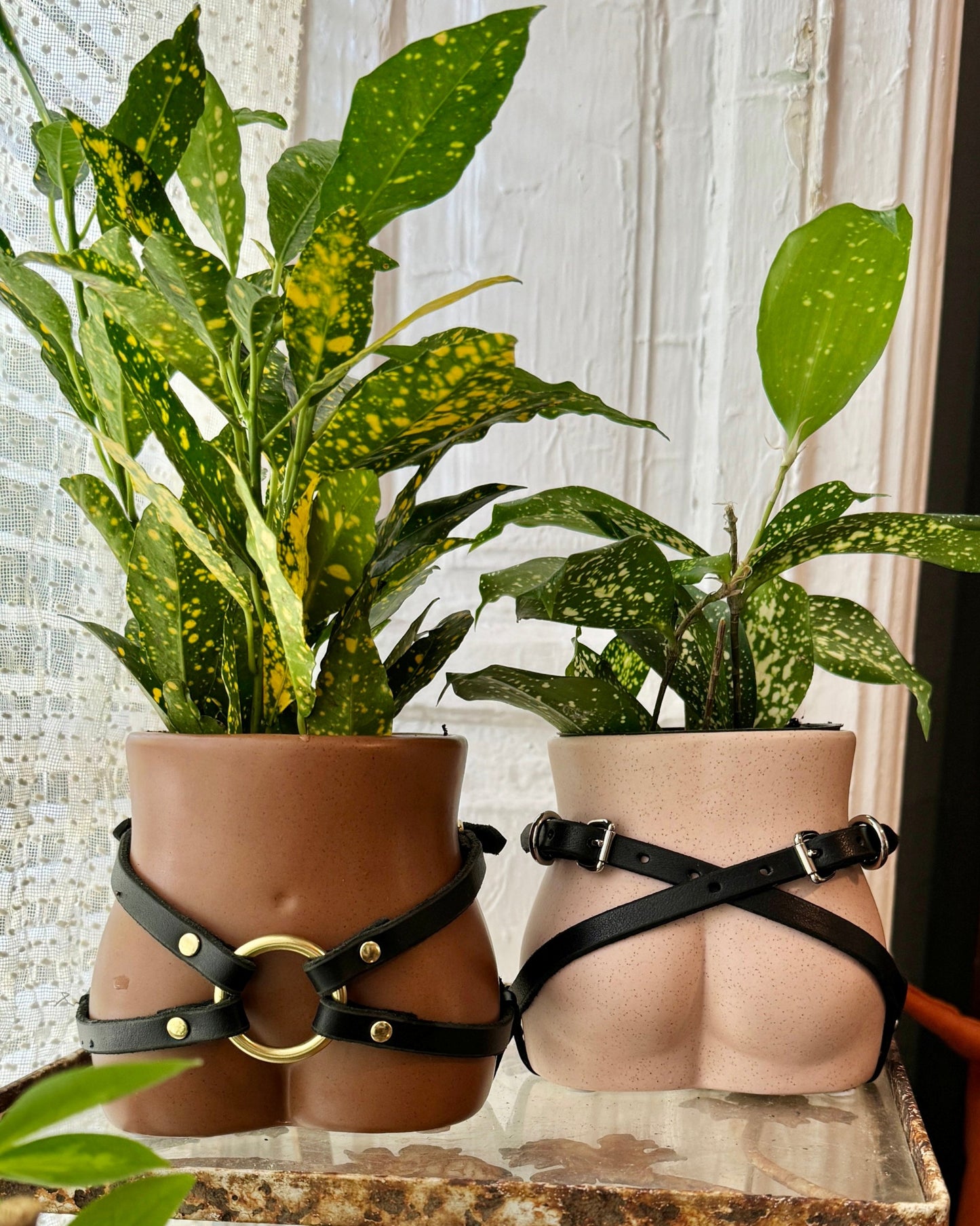 Peggy Pot