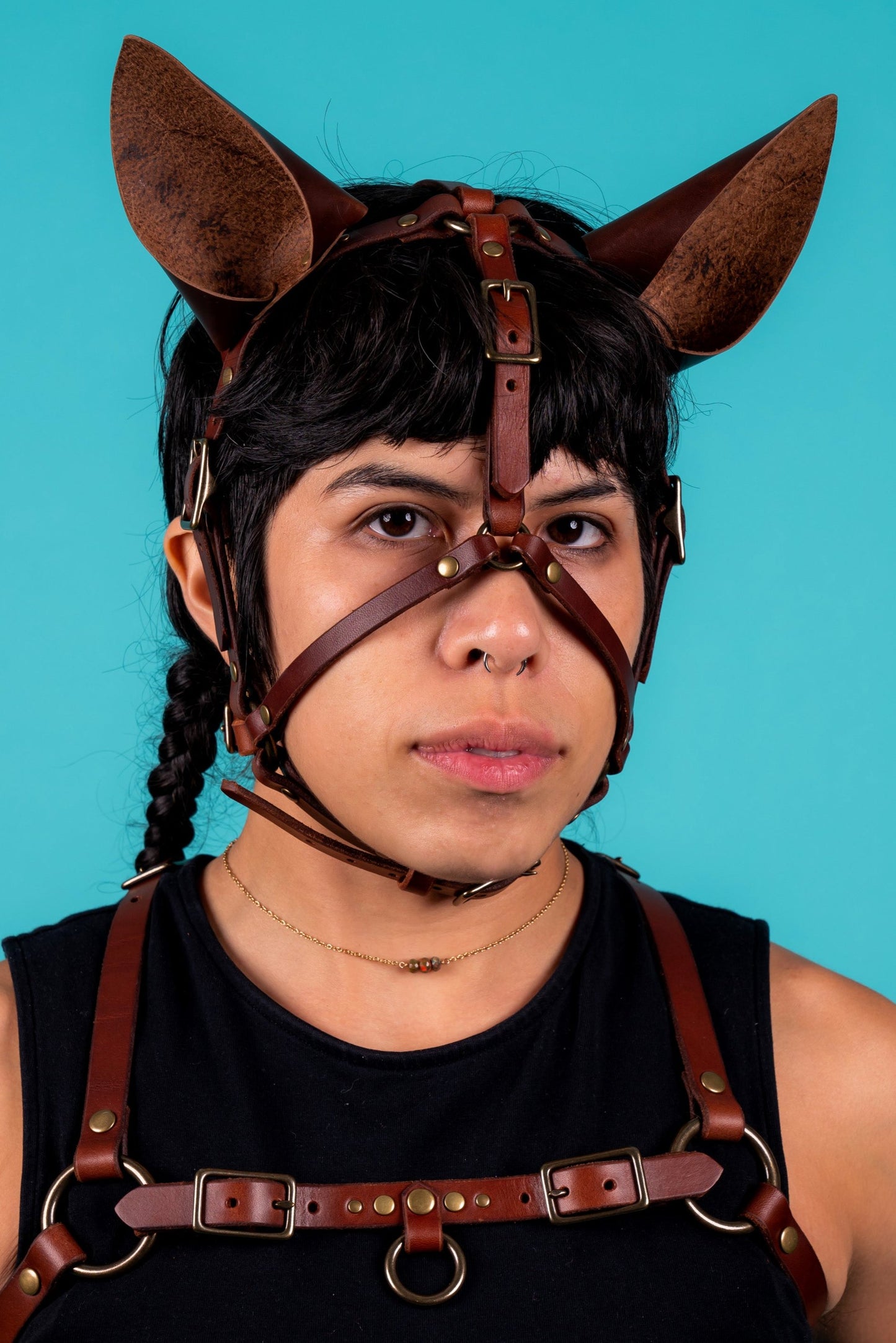 Face Harness with Puppy Ears