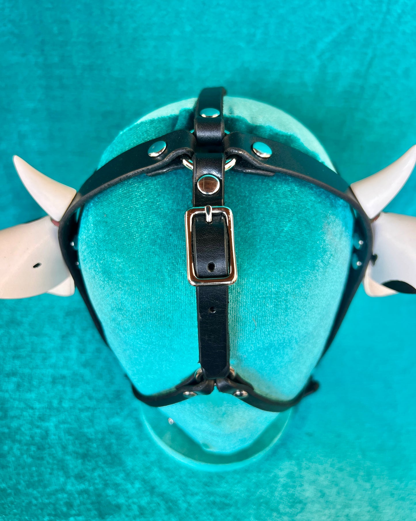 Cow Face Harness