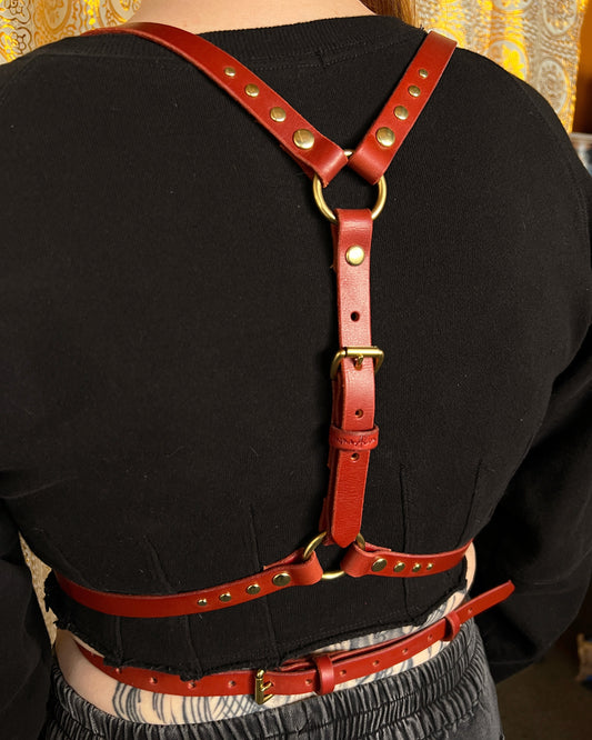 Service Switch Harness