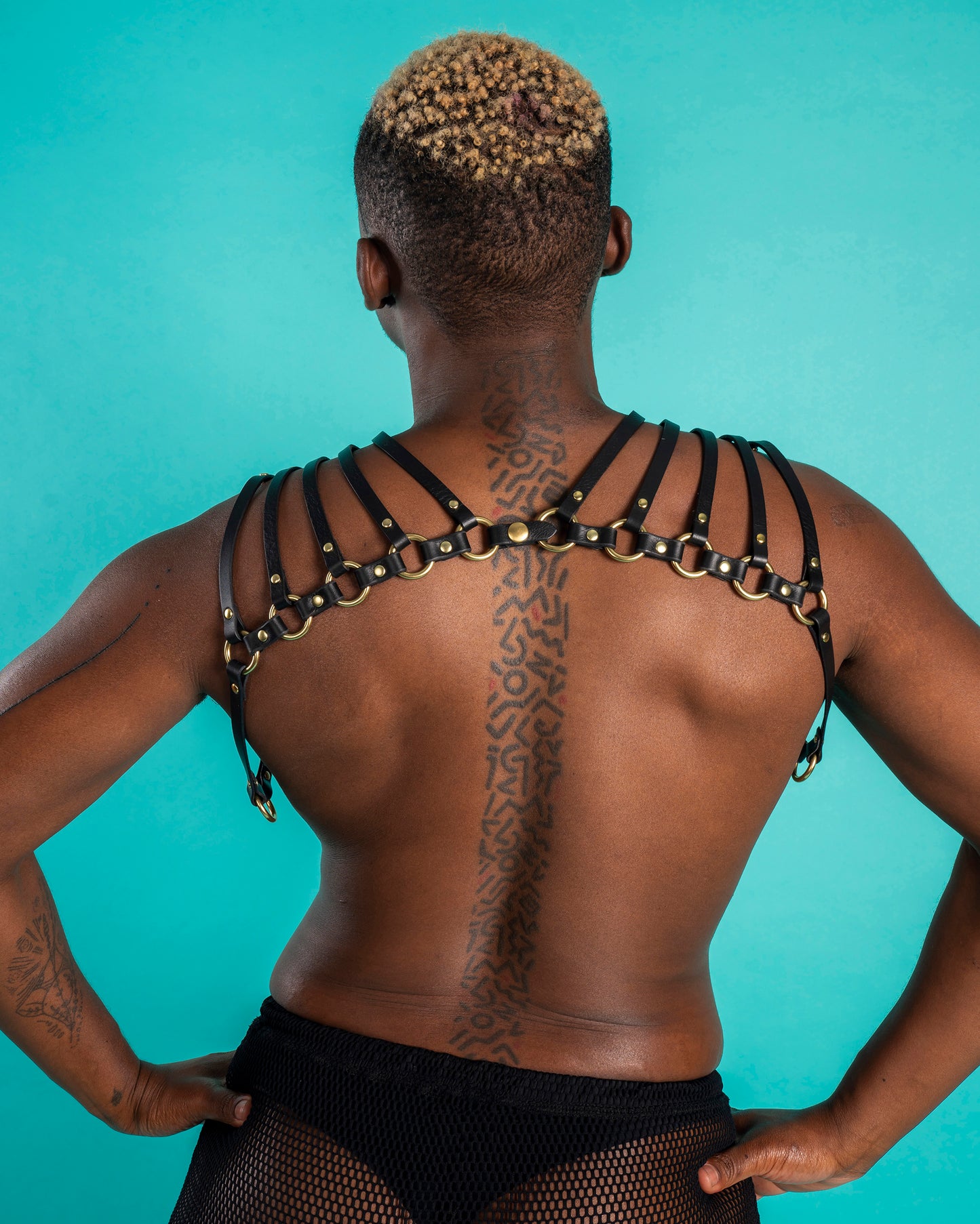 Warrior Leather Harness