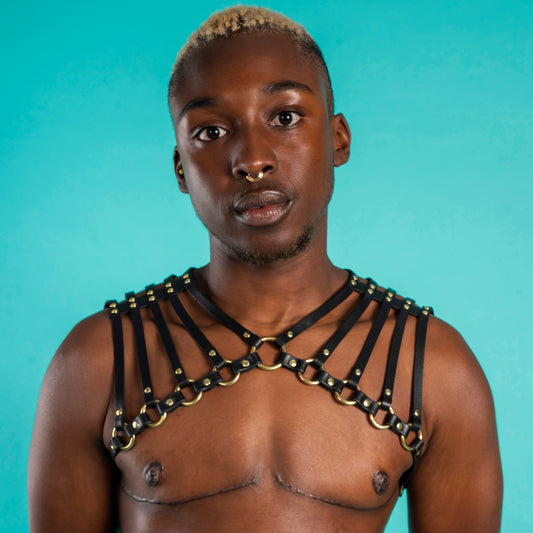 Warrior Leather Harness
