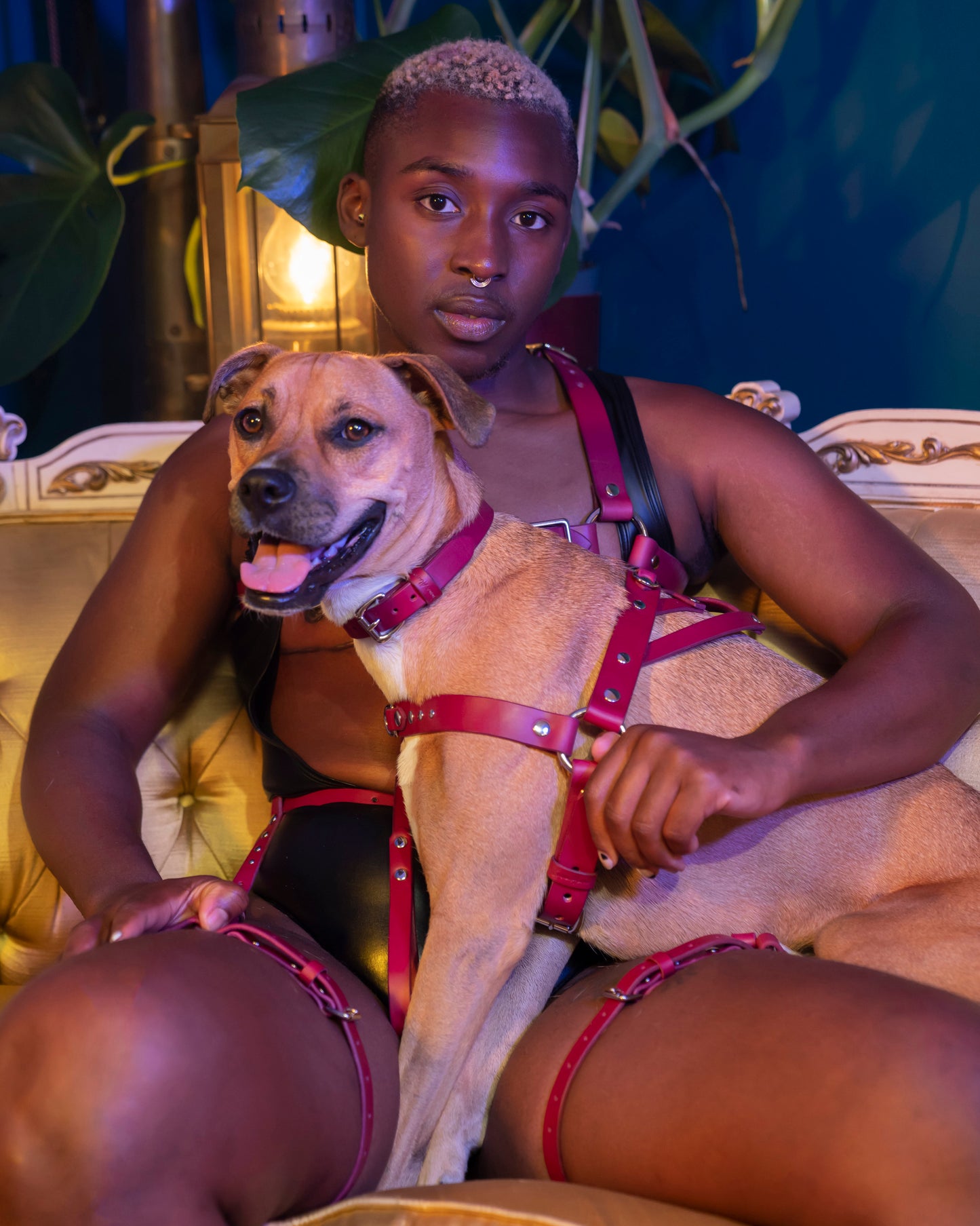 Puppy Play Harness (For Actual Dogs)