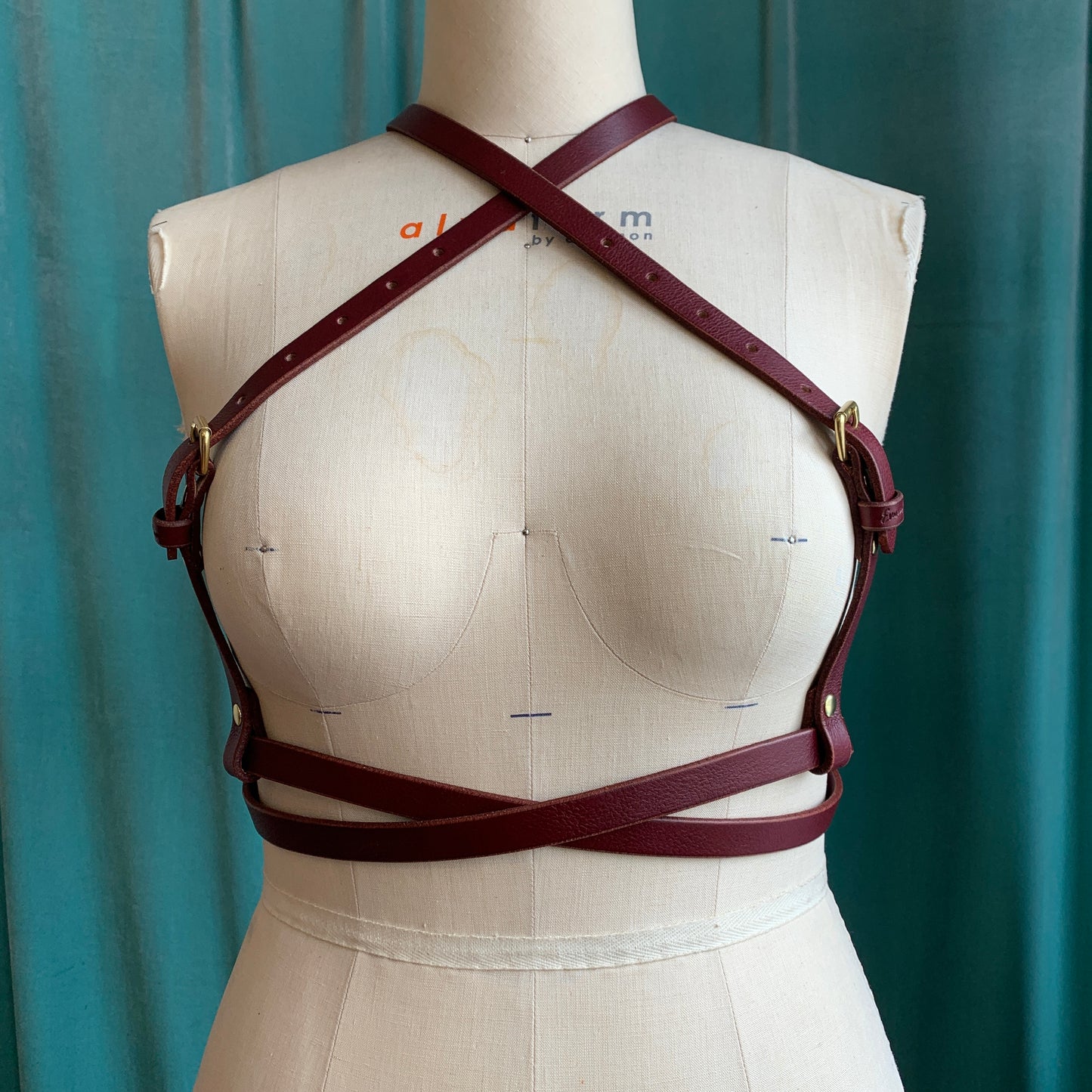 Service Switch Harness
