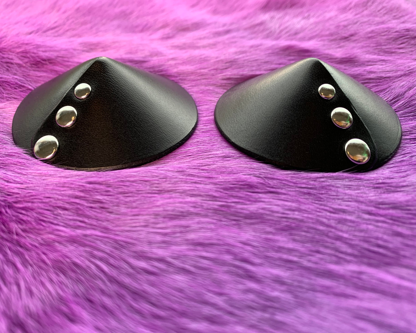 Leather Pasties