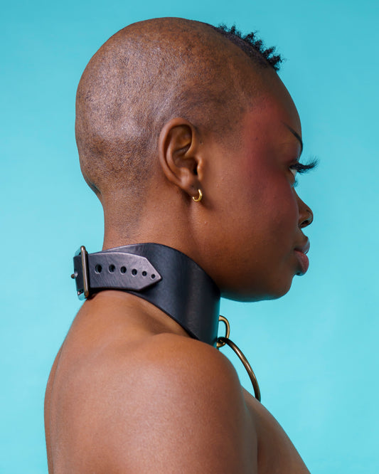 Leather Posture Collar