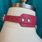 Pink Door Knocker Collar Sample