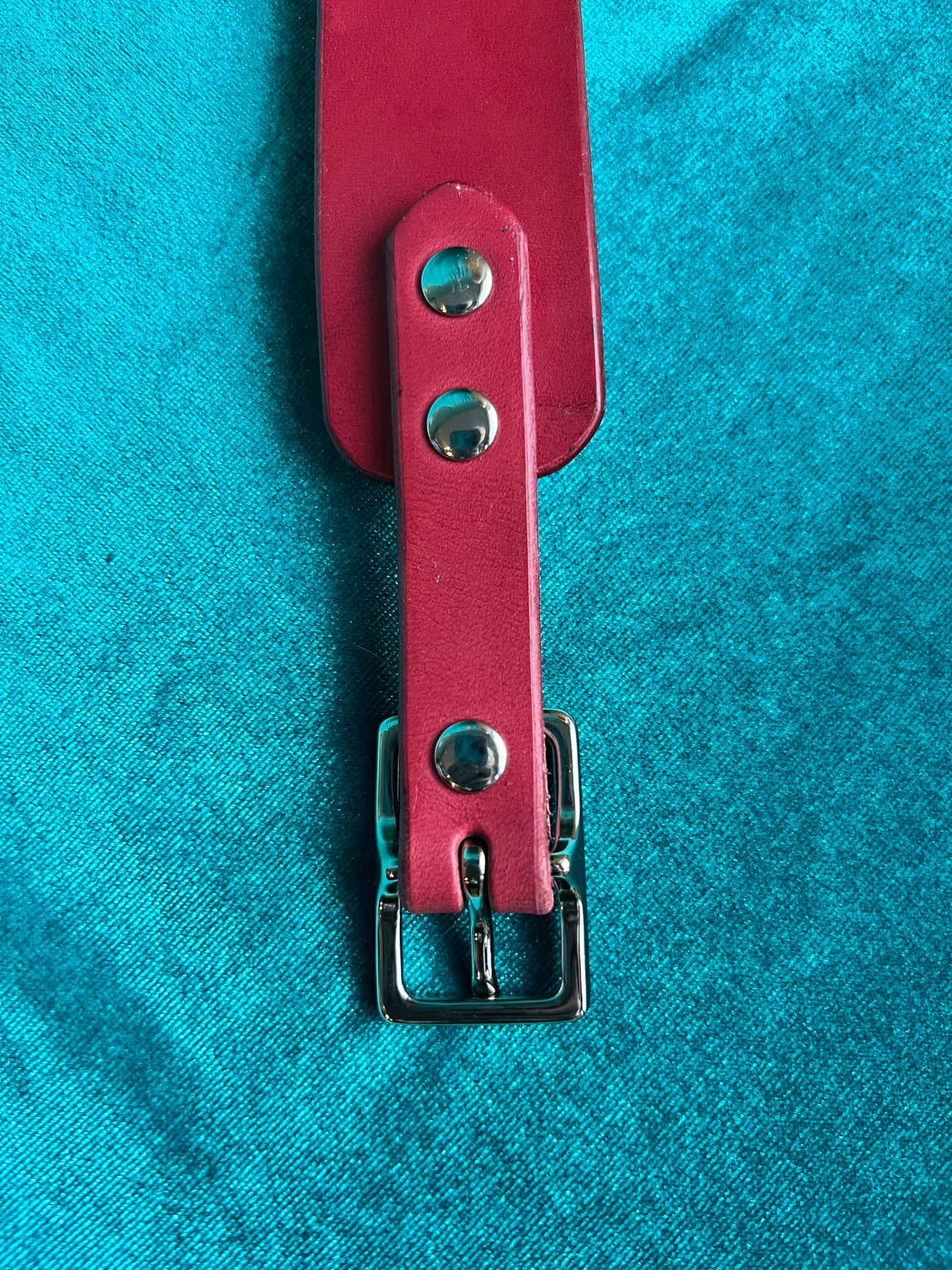 Pink Door Knocker Collar Sample