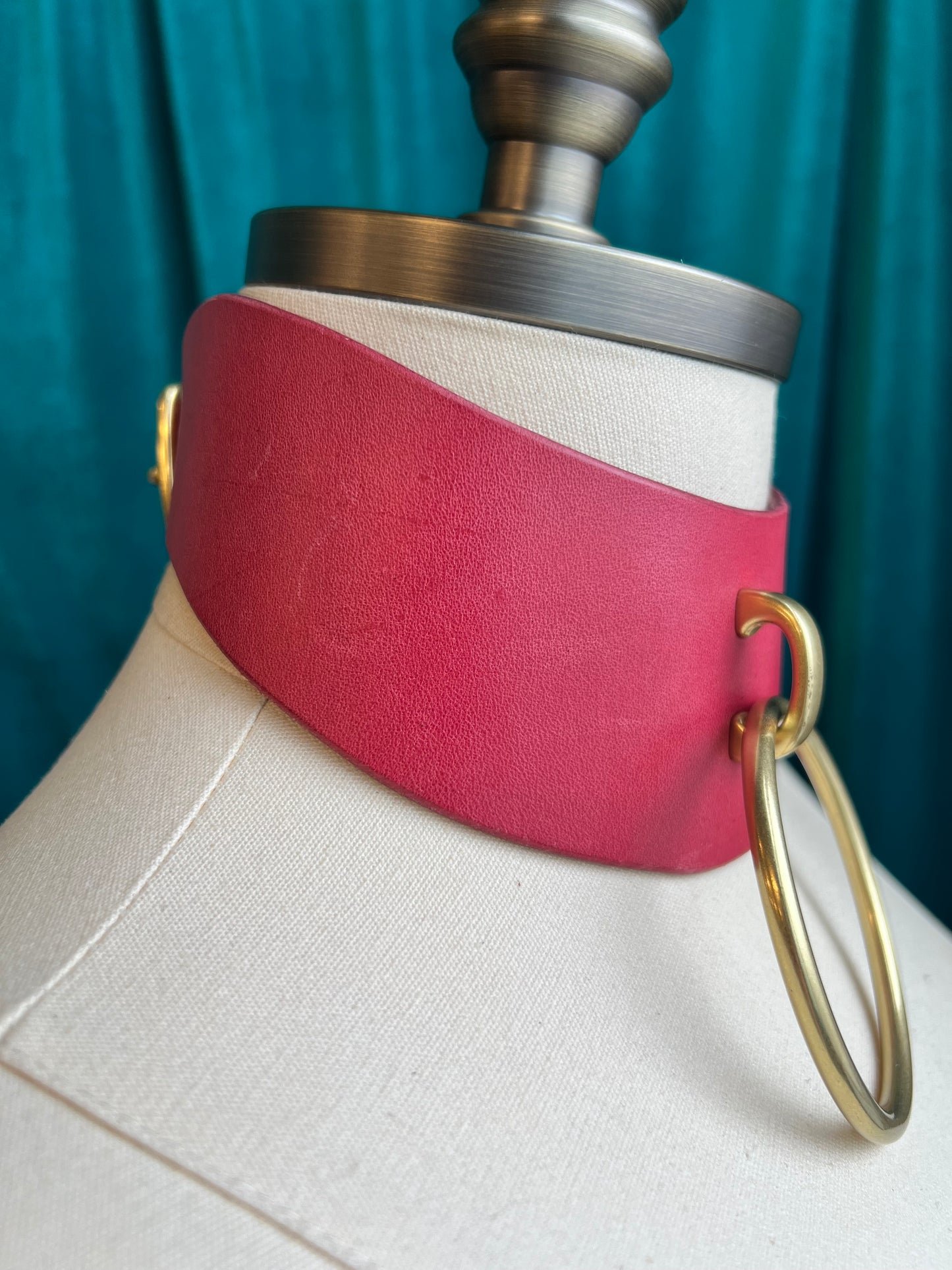 Pink Posture Collar Sample