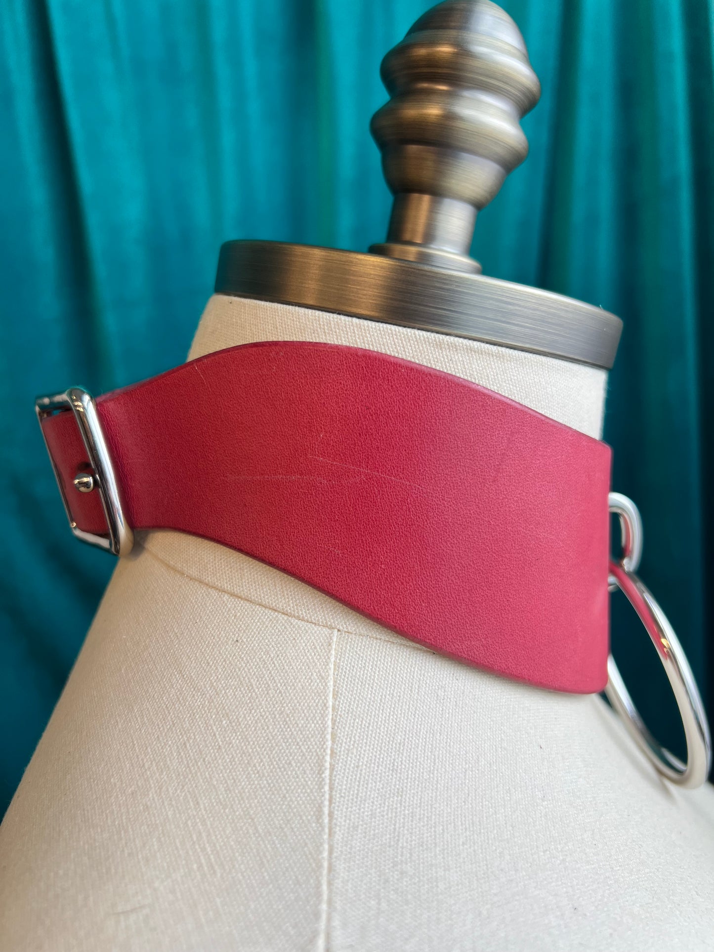 Pink Posture Collar Sample