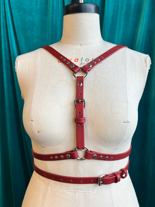 Red Service Switch Harness Sample XS, S