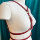 Red Service Switch Harness Sample XS, S