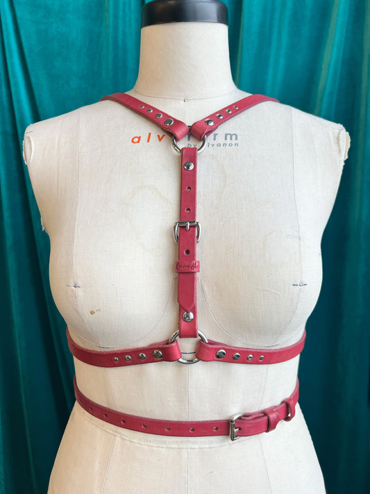 Pink Service Switch Harness Sample XS/S