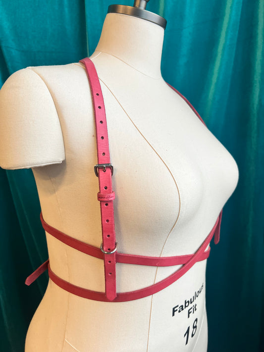 Rose Pink Service Switch Harness Sample 2X, 3X