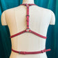 Rose Pink Service Switch Harness Sample 2X, 3X