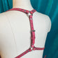 Rose Pink Service Switch Harness Sample 2X, 3X