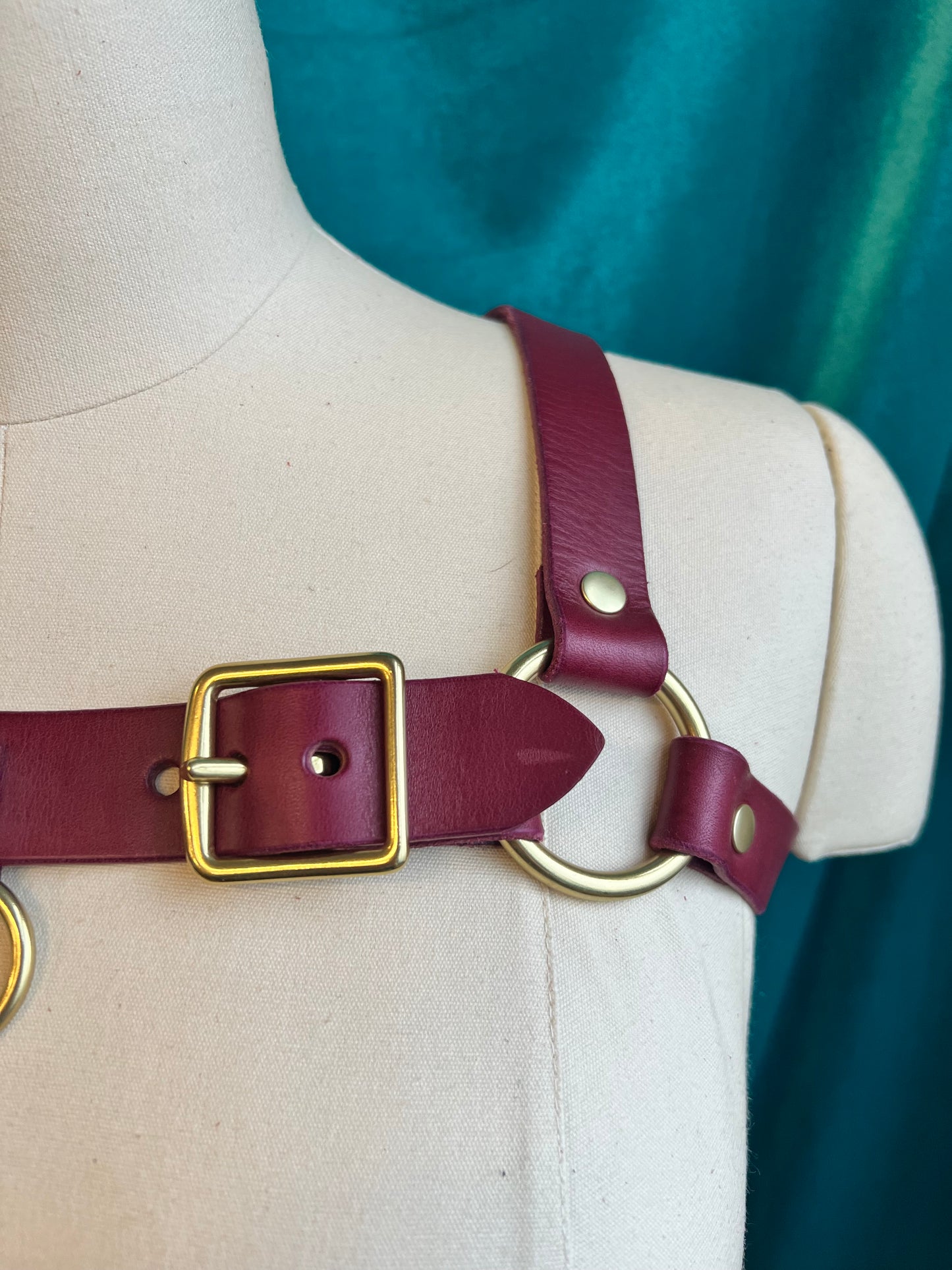 Plum Lexi Bulldog Harness Sample