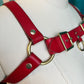 Red Lexi Bulldog Harness Sample