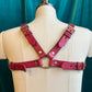 Pink Lexi Bulldog Harness Sample