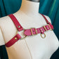 Pink Lexi Bulldog Harness Sample