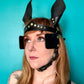 Pony Face Harness