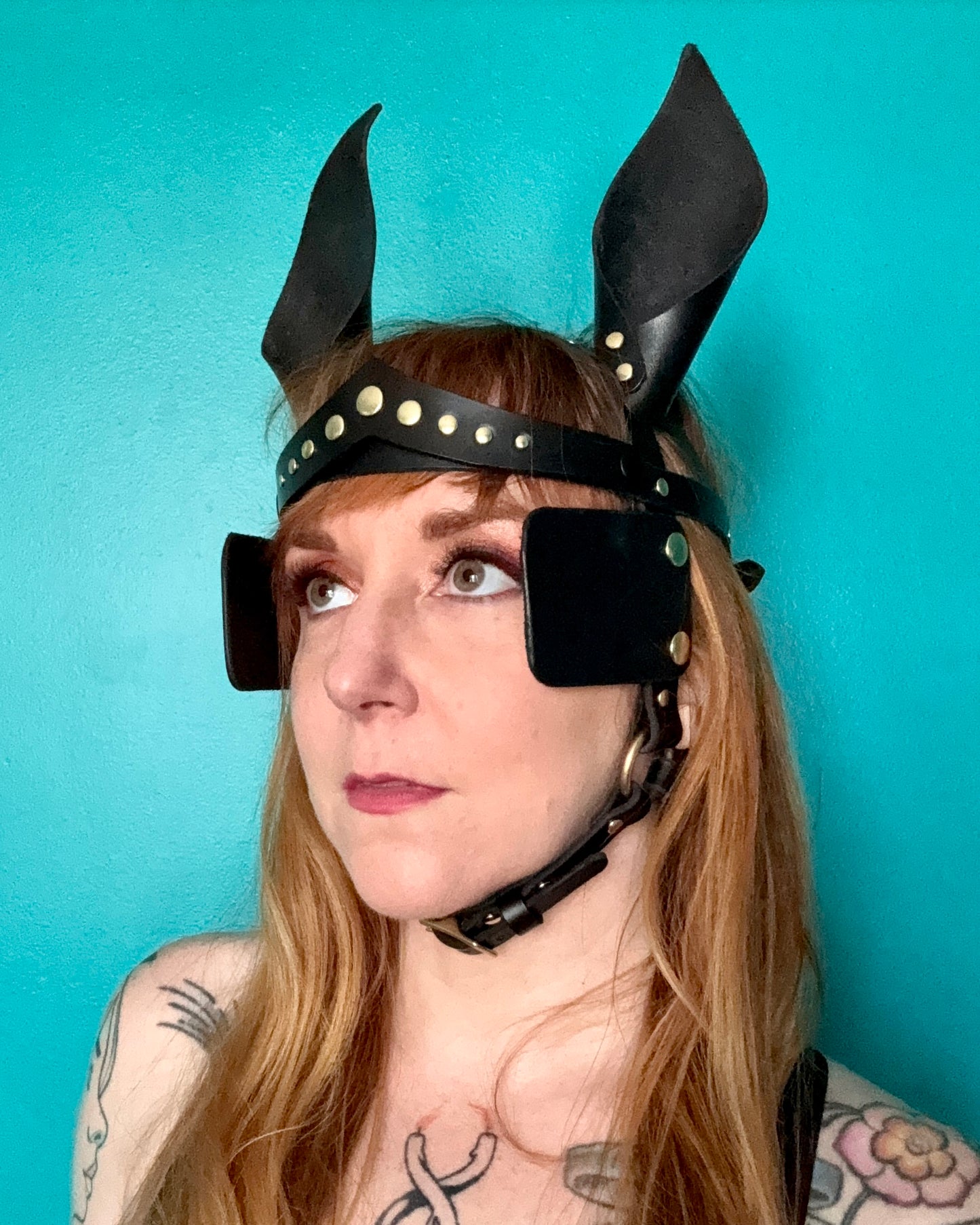 Pony Face Harness