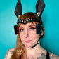 Pony Face Harness