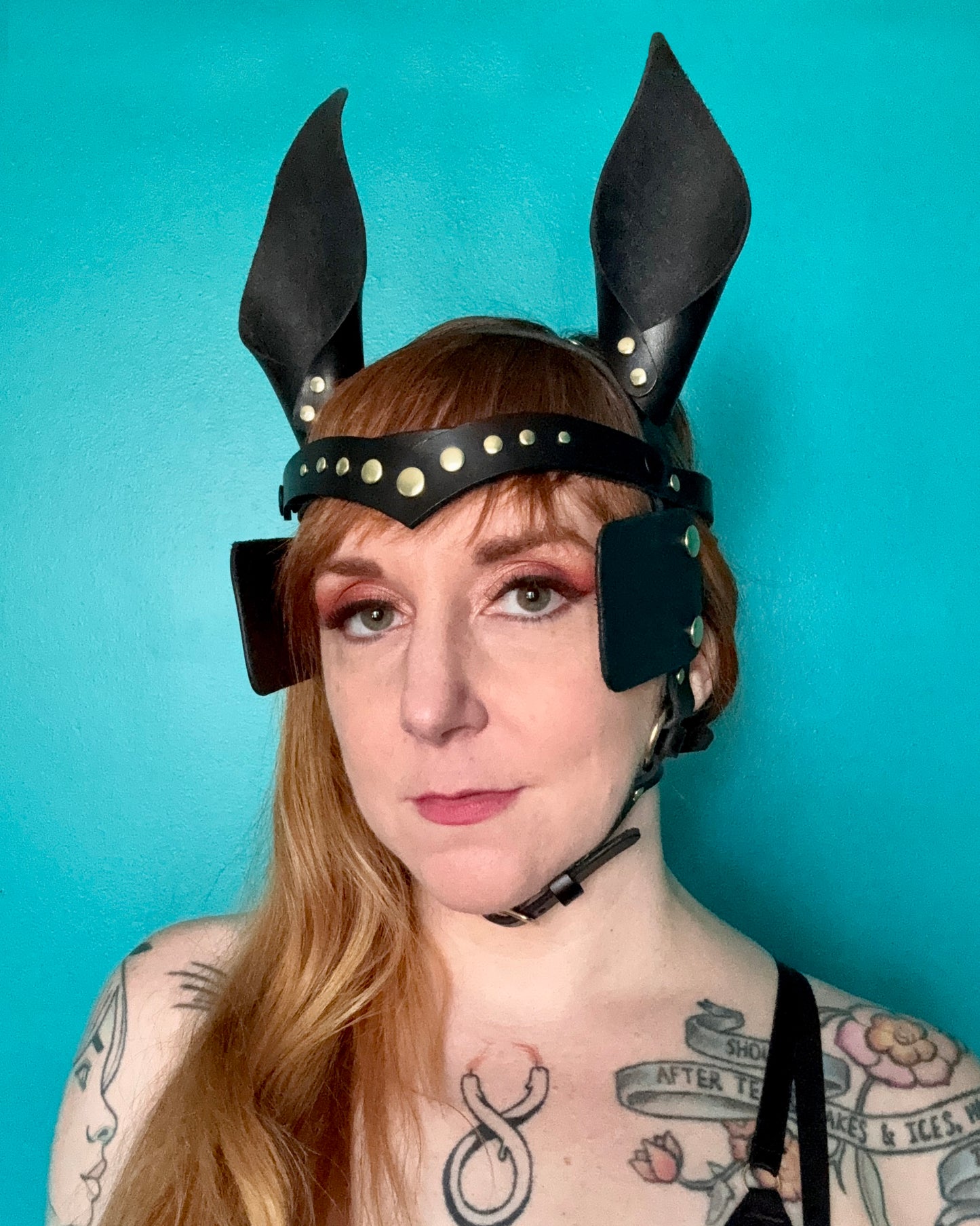 Pony Face Harness