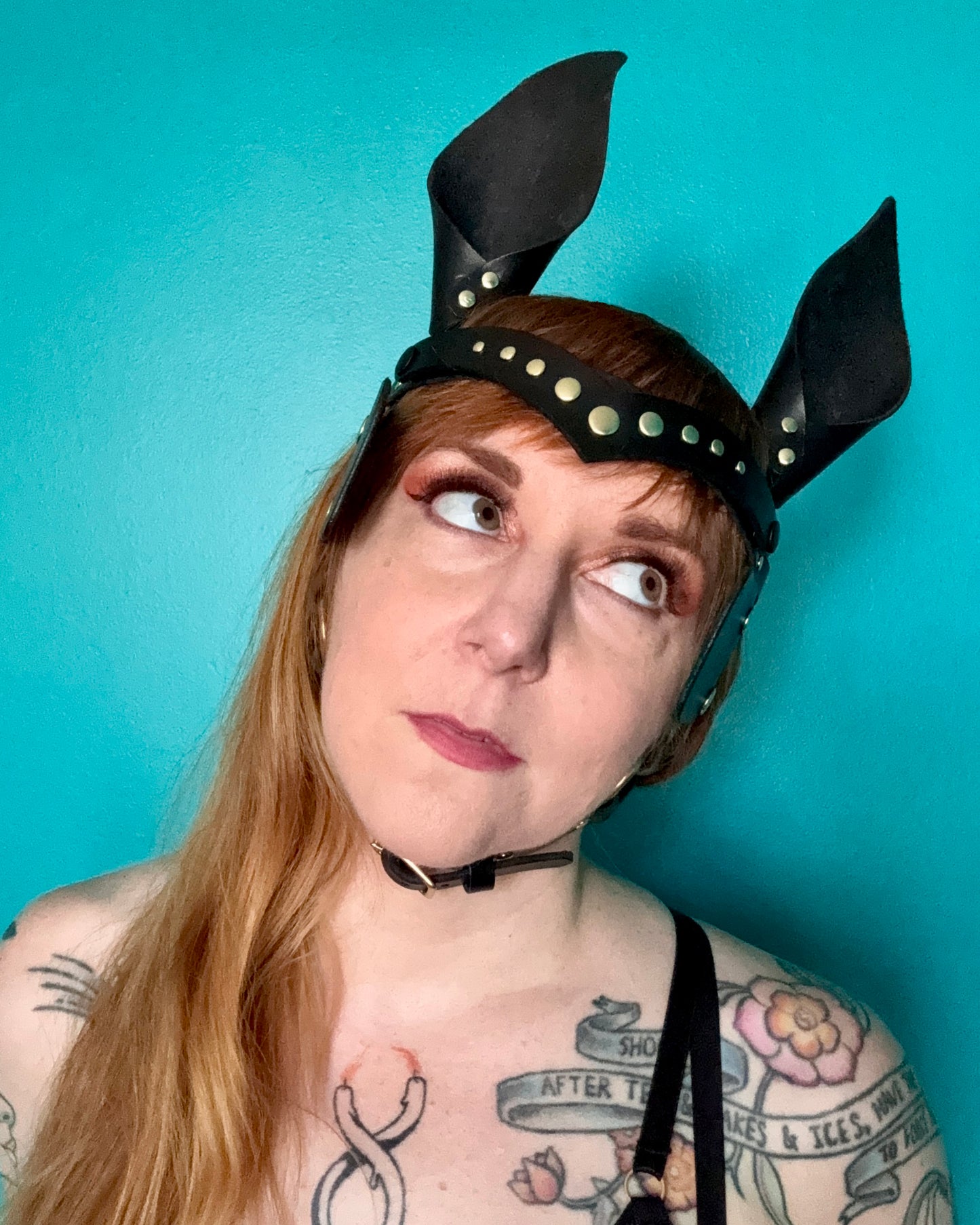 Pony Face Harness
