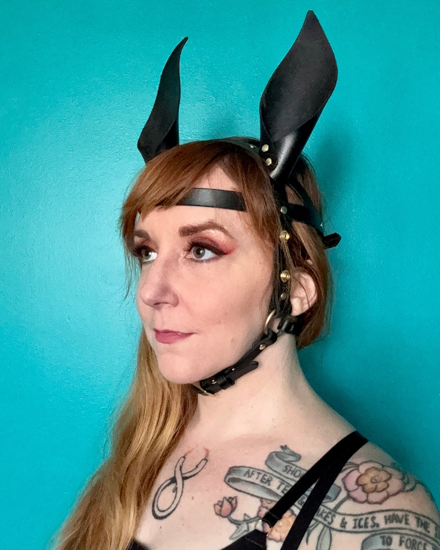 Pony Face Harness