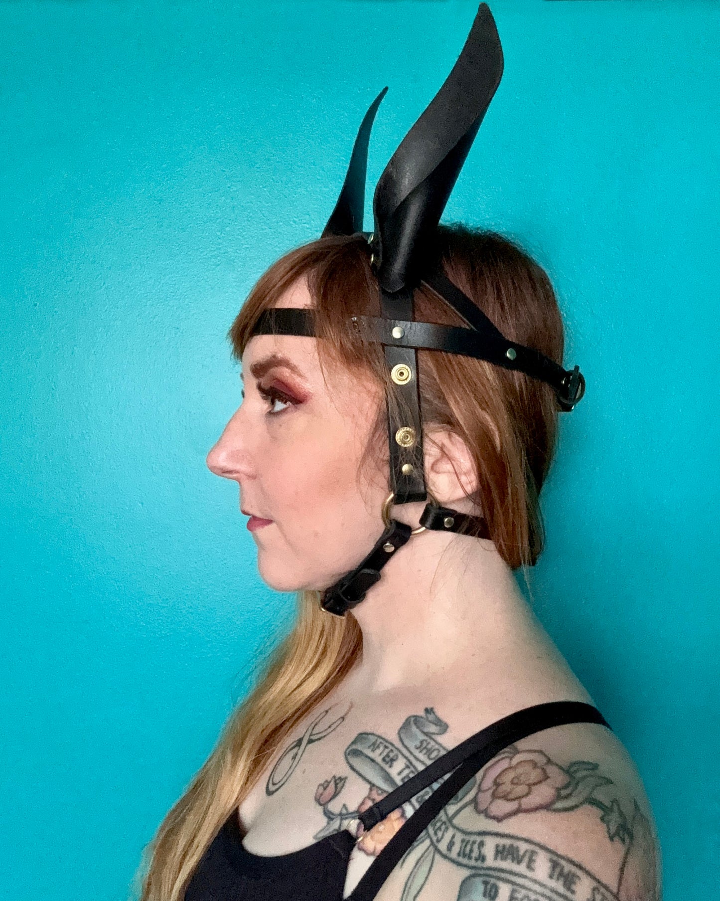 Pony Face Harness