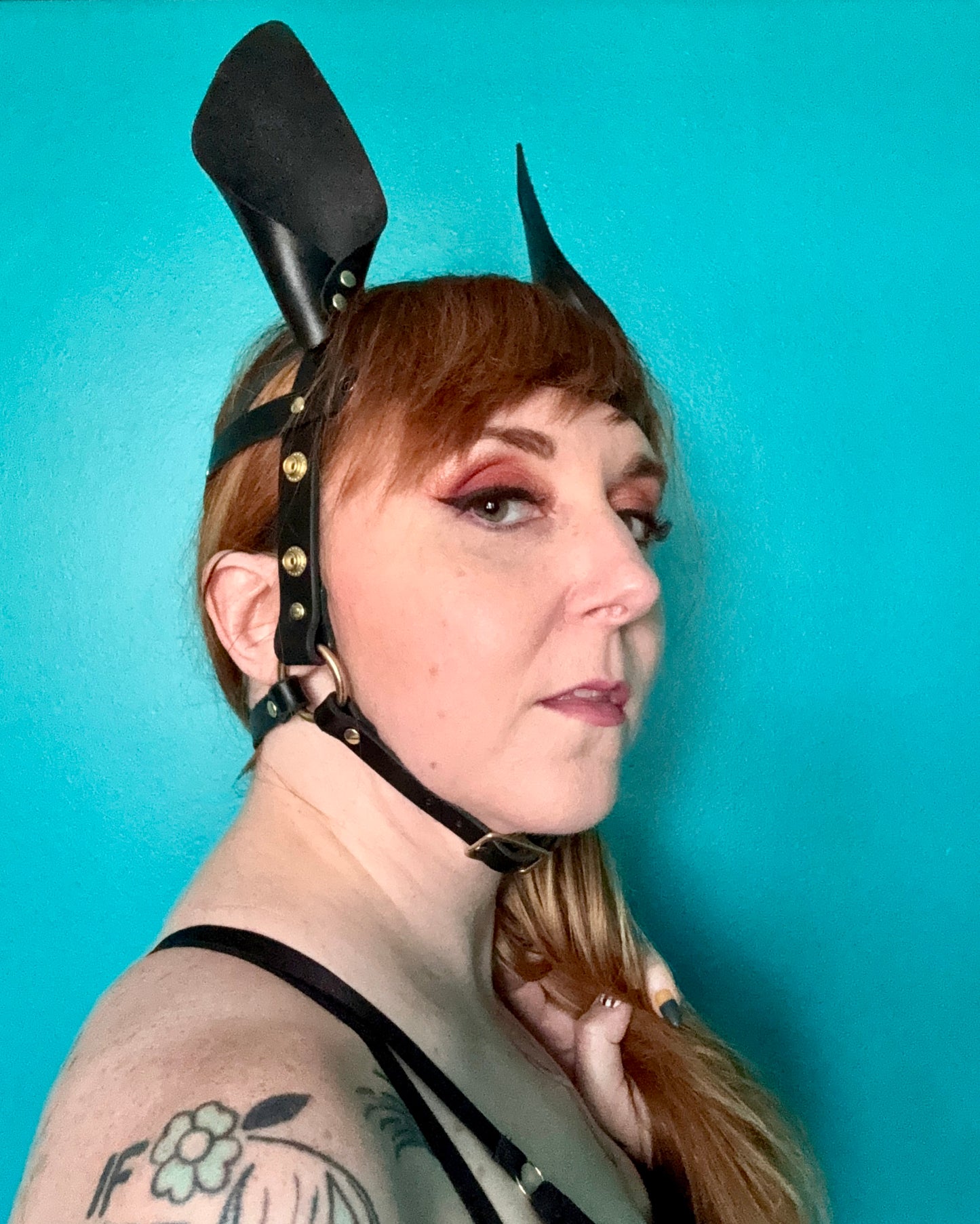Pony Face Harness
