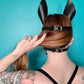 Pony Face Harness