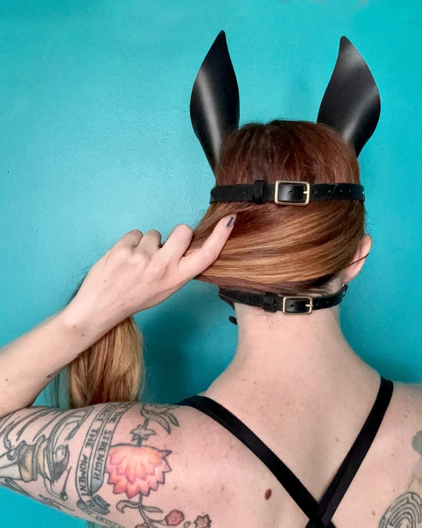 Pony Face Harness