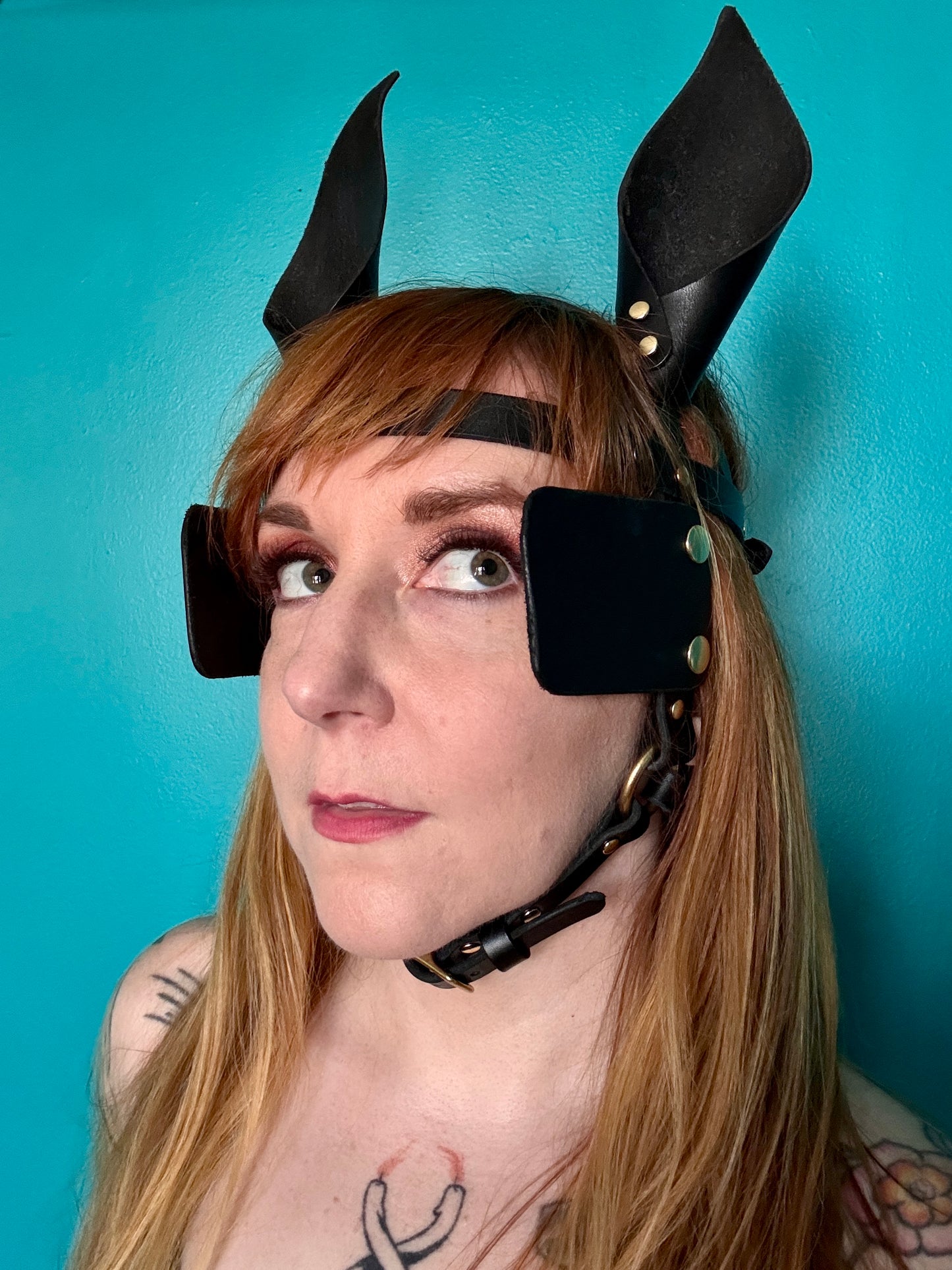 Pony Face Harness