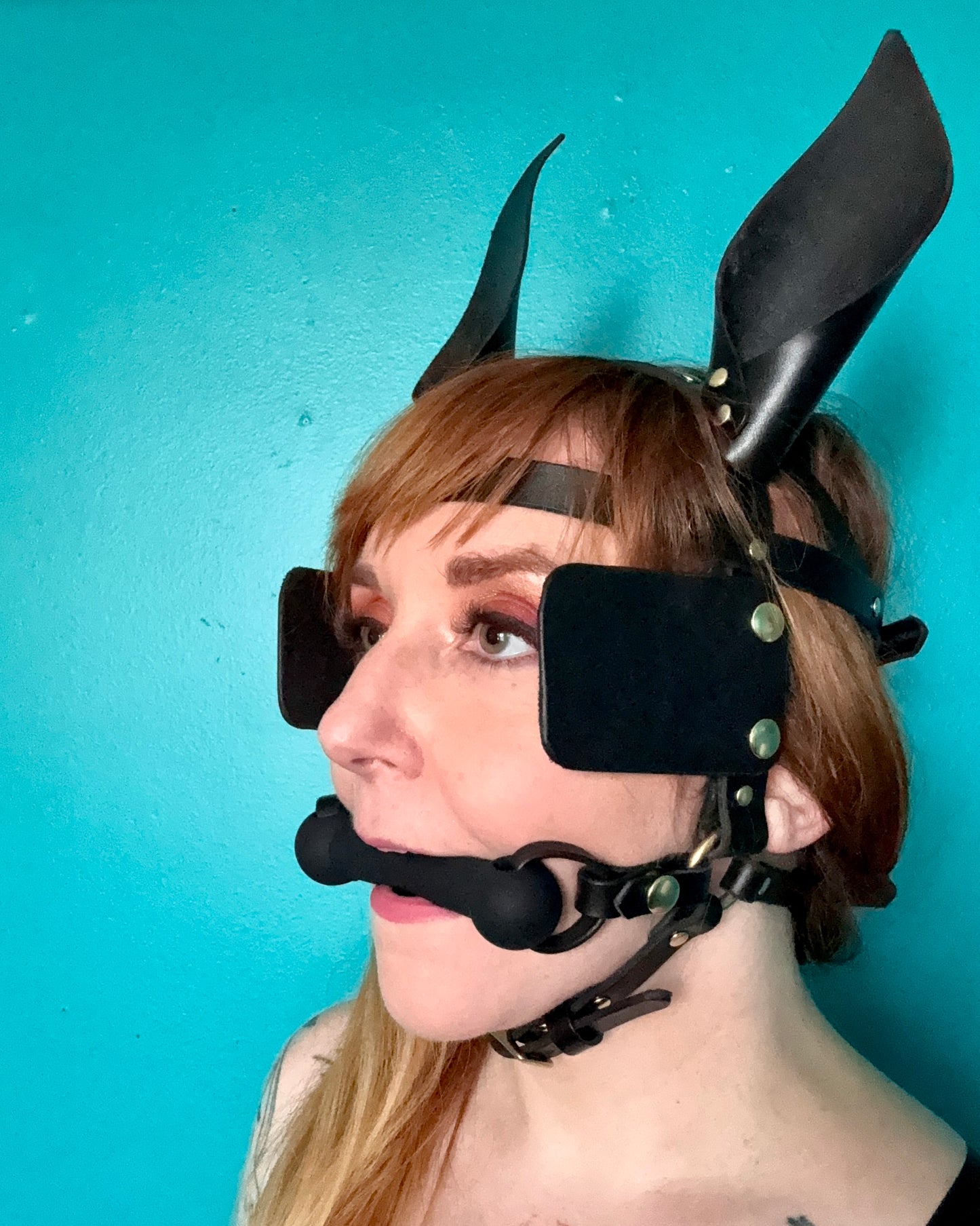 Pony Face Harness