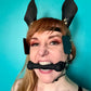 Pony Face Harness
