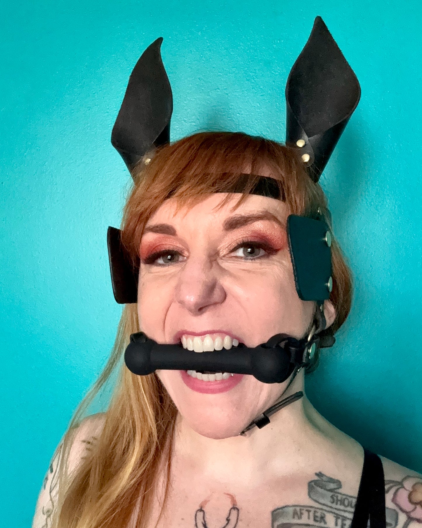 Pony Face Harness