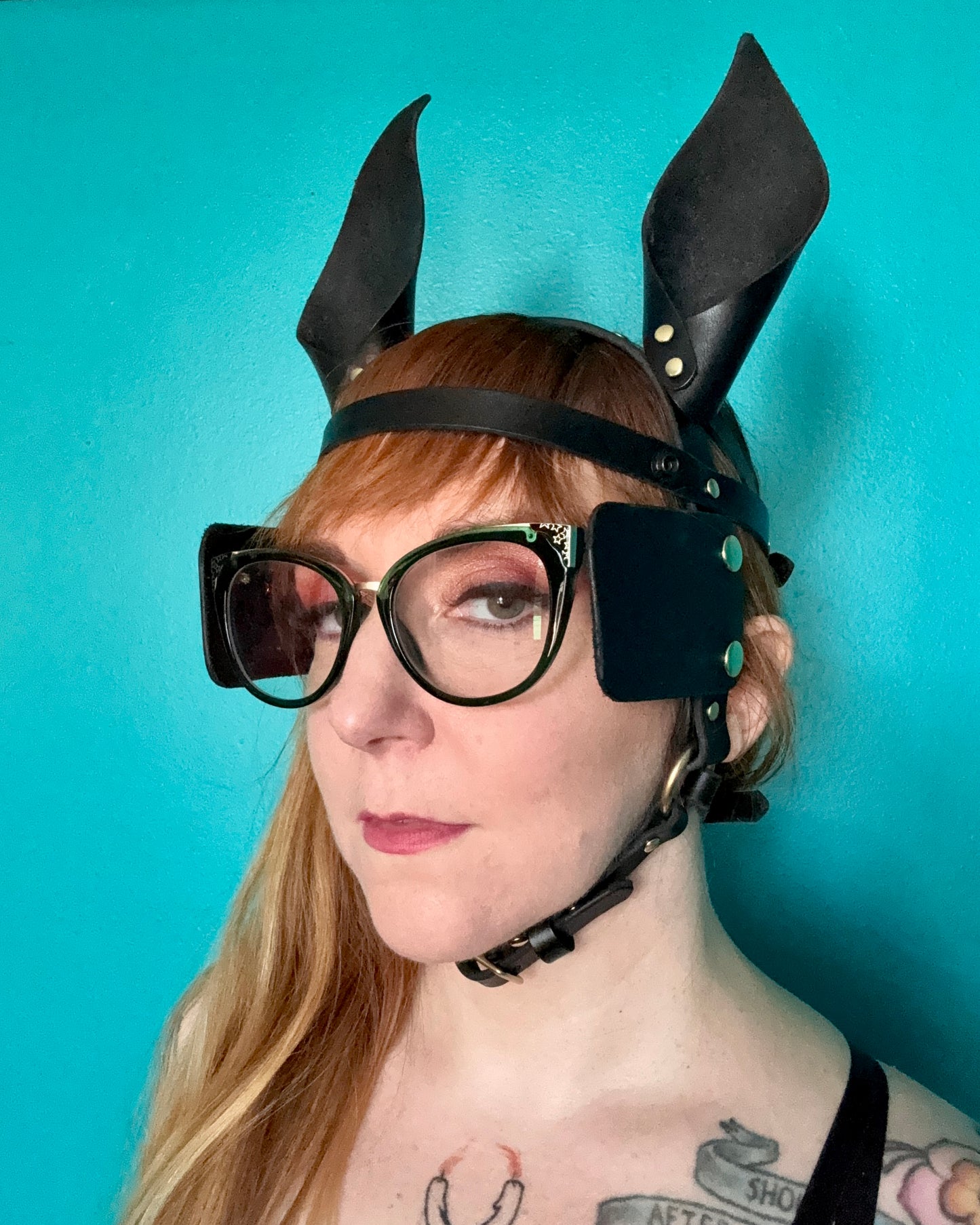 Pony Face Harness