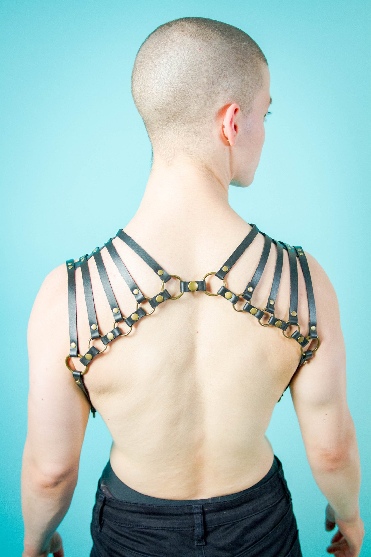 Warrior Leather Harness